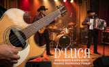 D’Luca Bajo Quinto and Bajo Sexto Passive Soundhole Pickup Single Coil