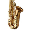 Yanagisawa AW02 Professional Alto Saxophone Bronze