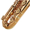 Yanagisawa BWO20 Baritone Saxophone Bronze