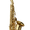 Yanagisawa AW010 Elite Alto Saxophone Yellow Brass