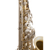 Selmer SAS301 Premium Student Eb Alto Saxophone Lacquer