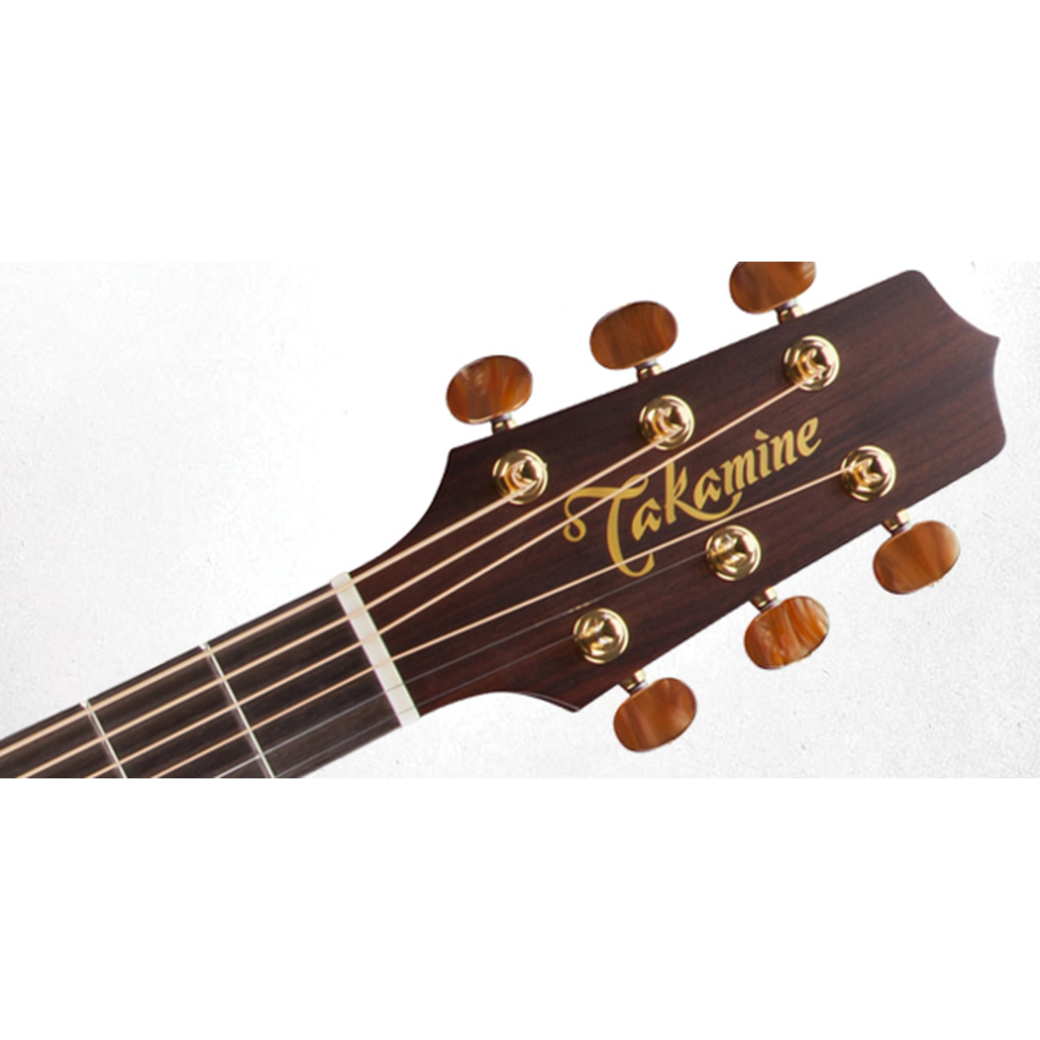 Takamine P3NC Pro 3 Acoustic-Electric Guitar W/Semi-Hard Case