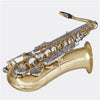 Blessing Bb Tenor Saxophone, Gold lacquer, Outfit