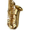 Yanagisawa AW010 Elite Alto Saxophone Yellow Brass