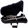 Fever Deluxe Alto Horn Silver Plated