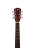 Washburn DFBDA Deep Forest Burl Dreadnought Acoustic Guitar. Amber Fade