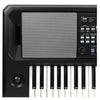 Korg, 61-Key Portable Keyboard with Latin Sounds and Styles