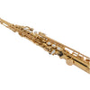 Selmer SSS311 Student Soprano Bb Saxophone