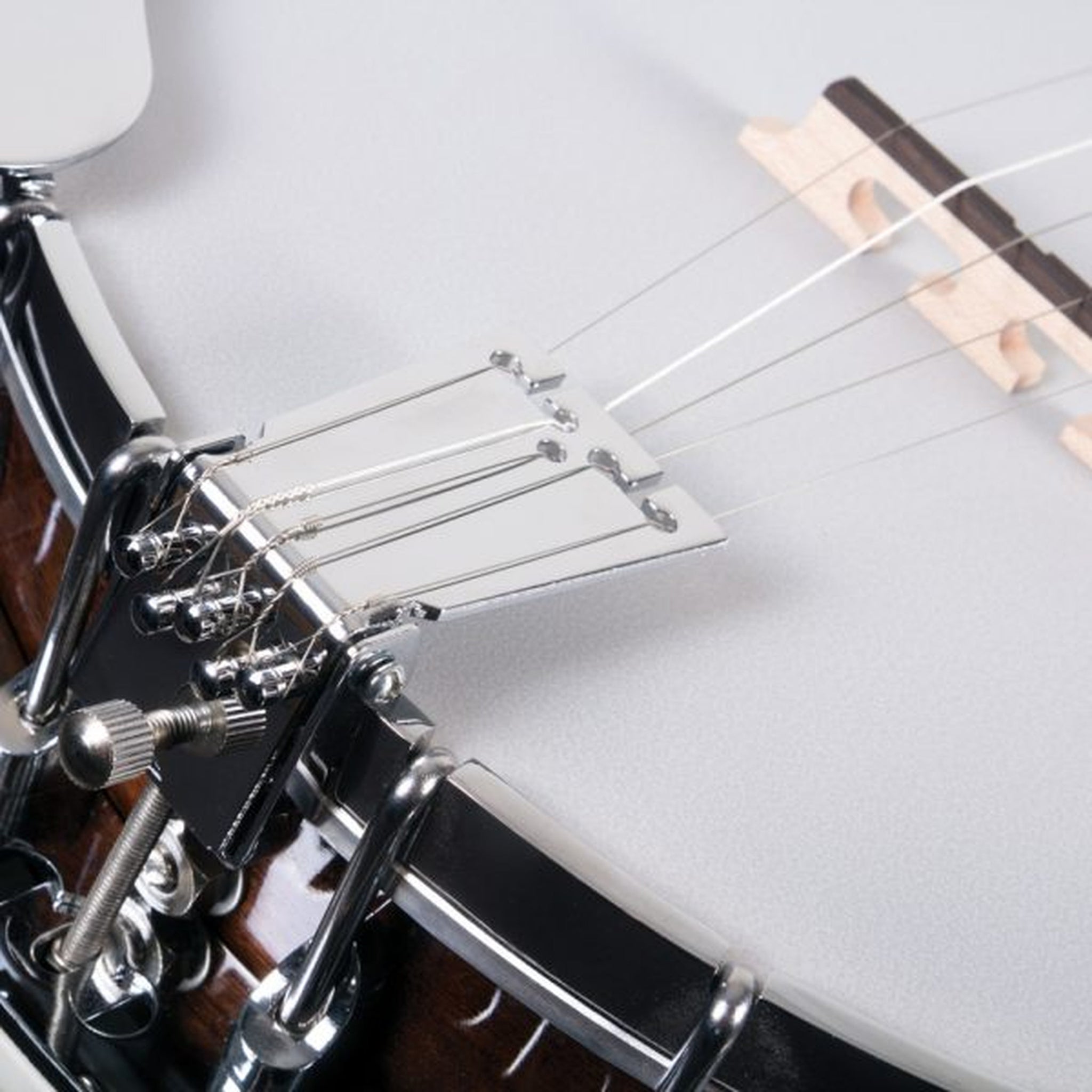 Washburn B11 Americana Series (5 String) Banjo. Natural