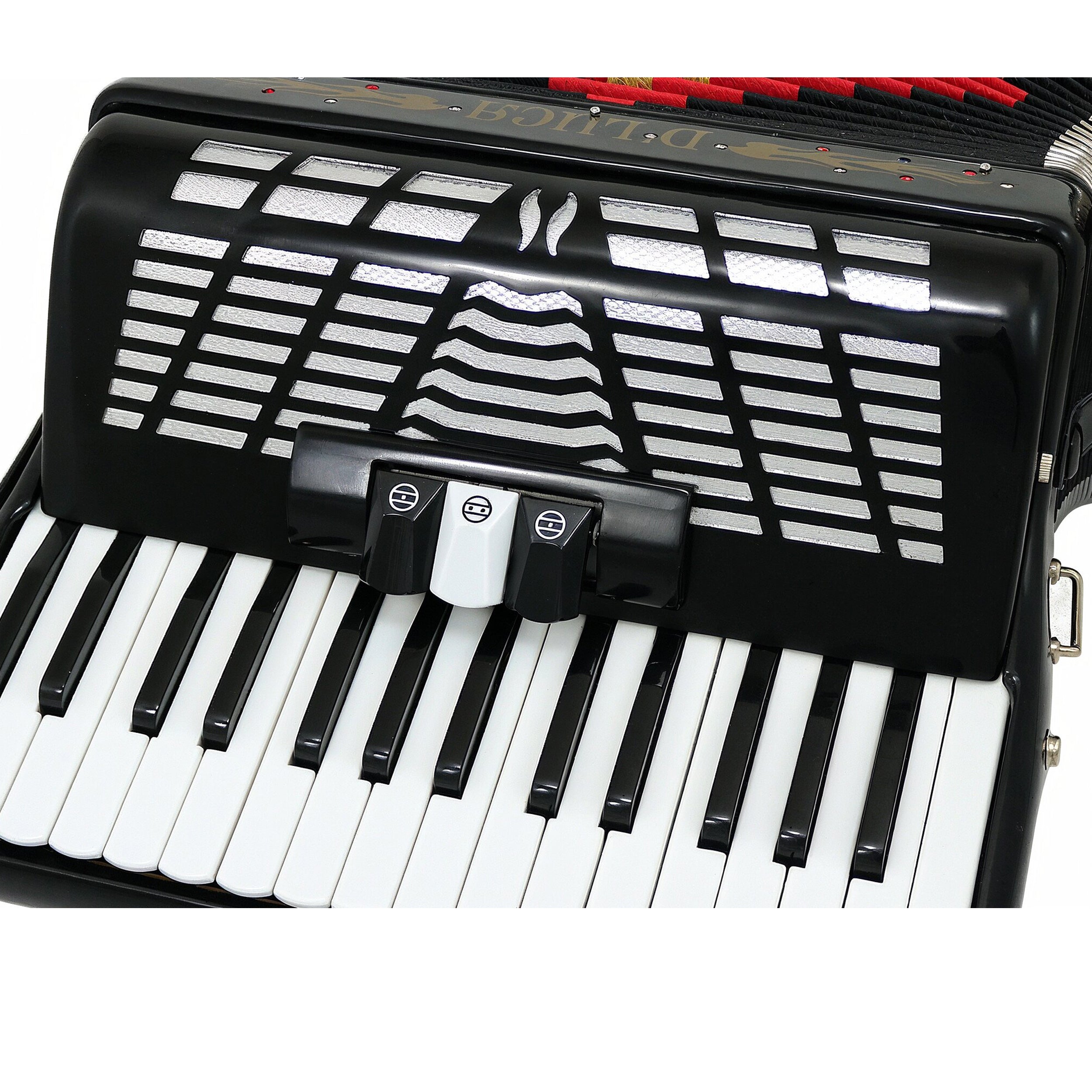 D'Luca Grand Piano Accordion 3 Switches 30 Keys 48 Bass with Case and Straps, Black