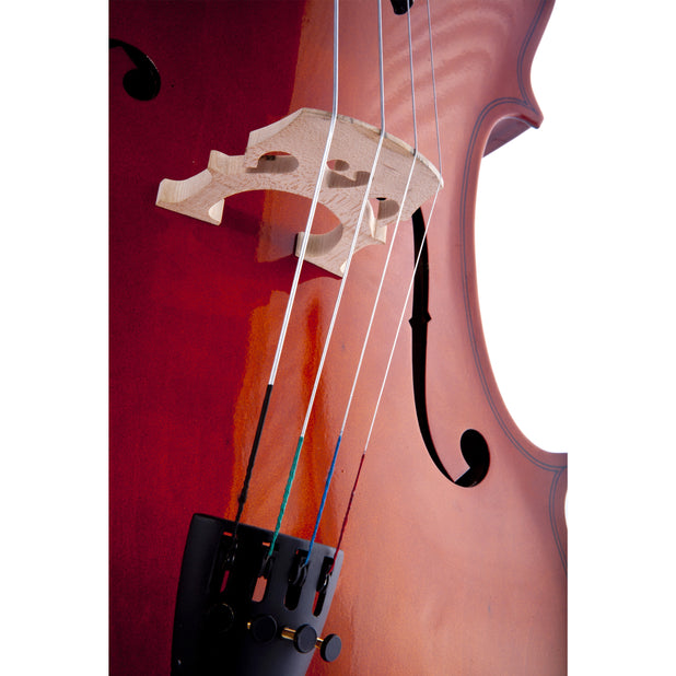 D'Luca Meister Student Cello Package 3/4 Size w/Stand, Bag, Tuner, Rosin & Bow