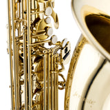 Stagg Levante Eb Baritone Saxophone, With Flight Case