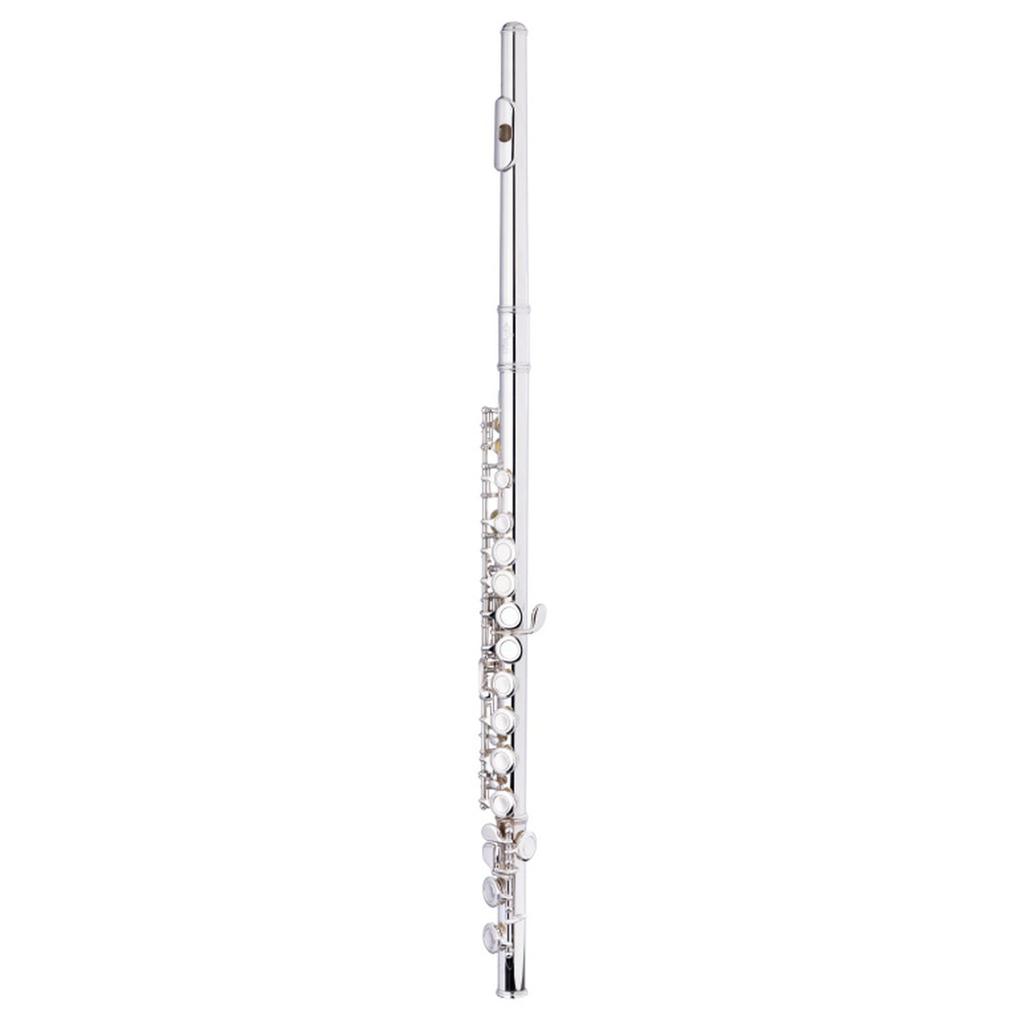 Stagg C Flute, Closed Holes, Offset G