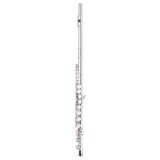 Stagg C Flute, Closed Holes, Offset G