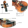 D'Luca Solid Wood Hand-Made Ebony Violin 4/4 Full Size
