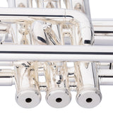 Stagg Levante Bb Cornet, Monel, Silver Plated