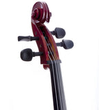 D'Luca Meister Student Cello Package 1/4 Size w/Stand, Bag, Tuner, Rosin & Bow