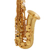 Selmer Paris 82 Signature Series Professional Alto Saxophone Matte