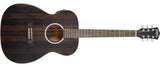 Washburn DFEFE-U Deep Forest Folk Acoustic/Electric Guitar. Striped Ebony