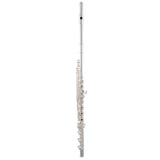 Selmer SFL611BC Professional Open Hole Flute B foot, Offset G, C# Trill