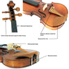 D'Luca Solid Wood Hand-Made Boxwood Violin 4/4 Full Size