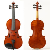 D'Luca Orchestral POD Series Violin Outfit - 3/4