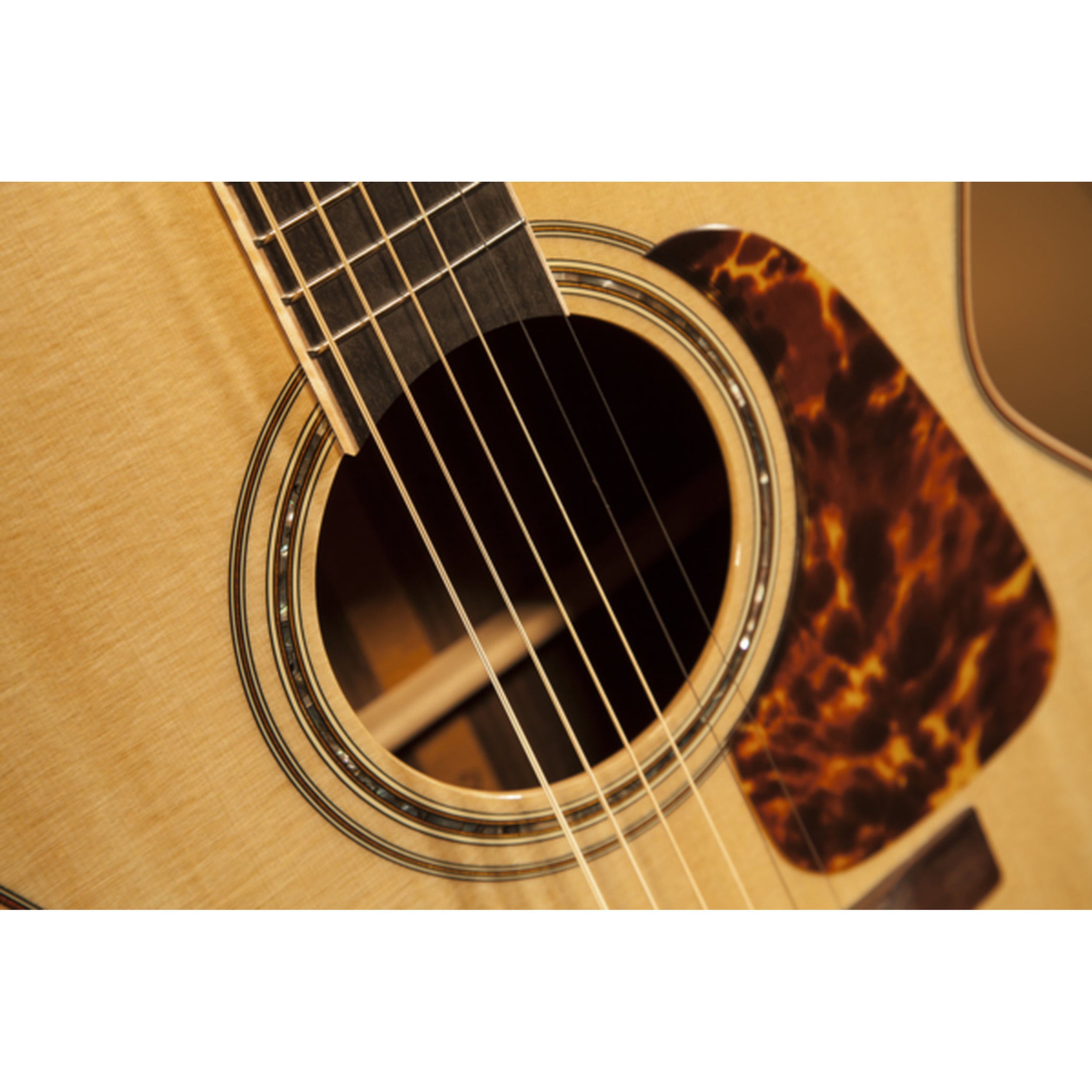 Takamine P7NC LH Left-Handed Pro 7 Acoustic-Electric Guitar W/Semi-Hard Case