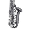 Yanagisawa AW01S Professional Alto Saxophone Silver Plated