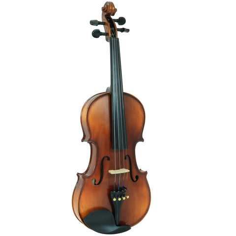D'Luca Solid Wood Hand-Made Ebony Violin 4/4 Full Size