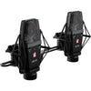 sE Electronics Factory Matched Pair of sE4100 with Mounting and Case