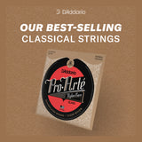 D'Addario Normal Tension Pro-Arté Nylon 7-String Classical Guitar Strings