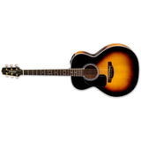 Takamine P6N BSB LH Left-Handed Pro 6 Acoustic-Electric Guitar W/Semi-Hard Case