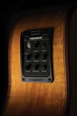 Washburn G66SCE Comfort Deluxe 66 Auditorium Acoustic Electic Guitar Maple