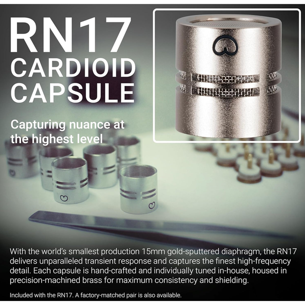 sE Electronics Omni Capsule for RN17