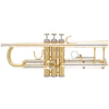 Bach BTR301 Bb Trumpet Lacquer