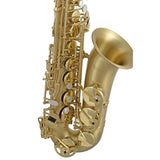 Selmer SAS711M Professional Eb Alto Saxophone Matte