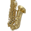 Selmer SAS711M Professional Eb Alto Saxophone Matte
