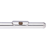 Stagg C Flute, Closed Holes, Offset G