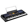 Korg, 61-Key Portable Keyboard with Inspiring New Styles