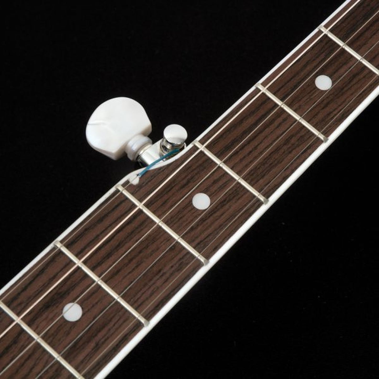 Washburn B11 Americana Series (5 String) Banjo. Natural