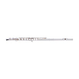 Stagg C Flute, Closed Holes, Offset G
