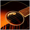 L.R. Baggs Anthem Soundhole Microphone/Undersaddle Acoustic Guitar Pickup