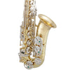 Selmer SAS201 Student Eb Alto Saxophone Lacquer