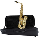 Selmer SAS711M Professional Eb Alto Saxophone Matte