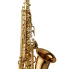 Yanagisawa AW02 Professional Alto Saxophone Bronze