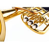 Fever Deluxe Alto Horn Lacquer