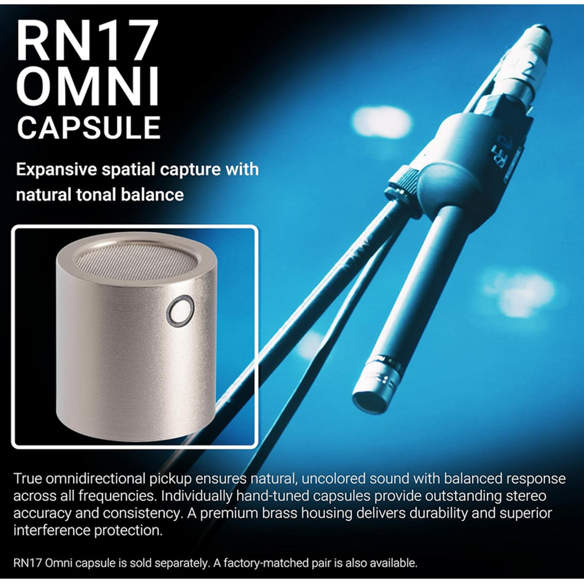 sE Electronics Omni Capsule for RN17