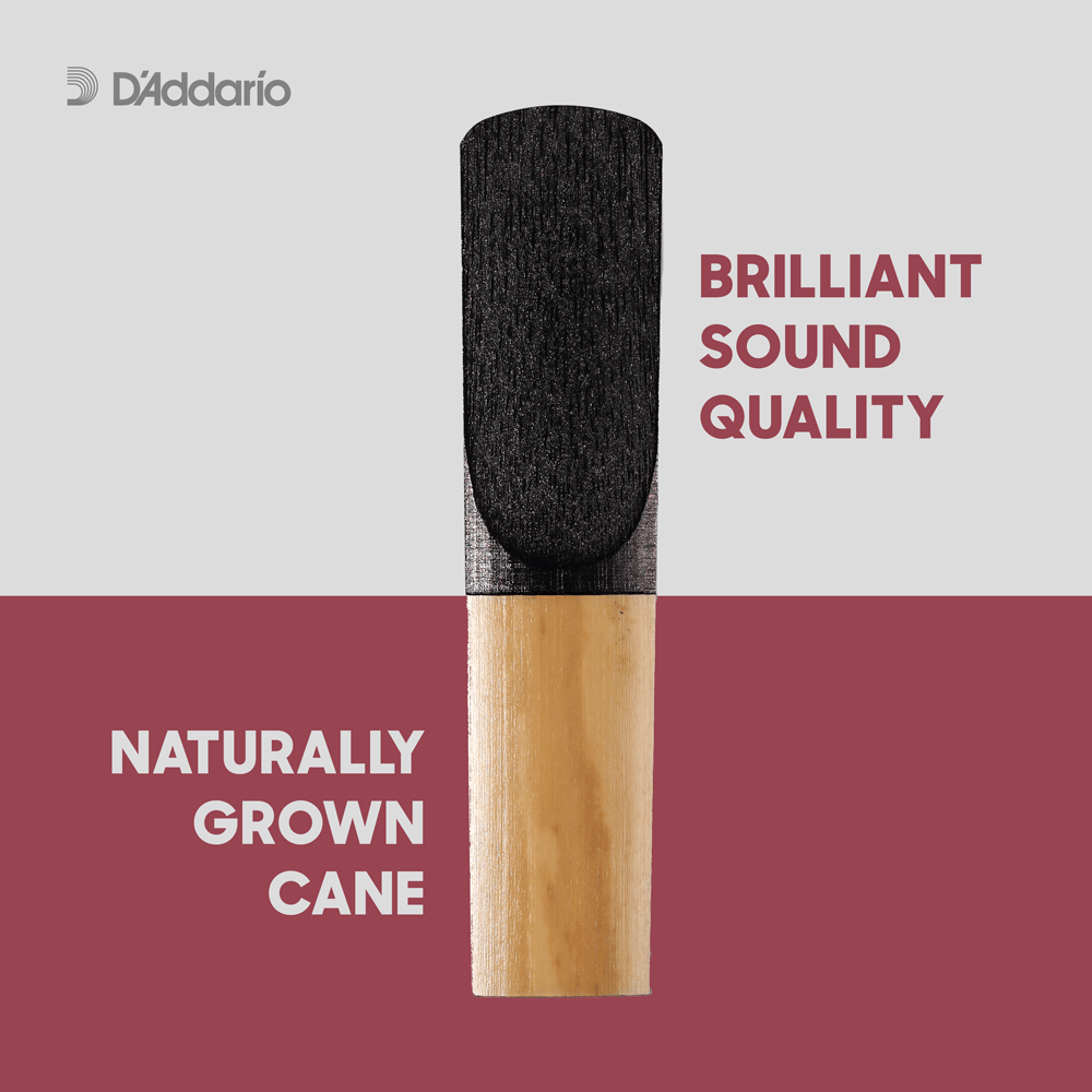 Rico Plasticover Baritone Saxophone Reeds, Strength 1.5, 5-pack