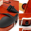 D'Luca Strauss 400 Concerto Violin 4/4 with Case, Strings and Tuner