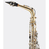 Blessing Eb Alto Saxophone, Gold Lacquer, Outfit